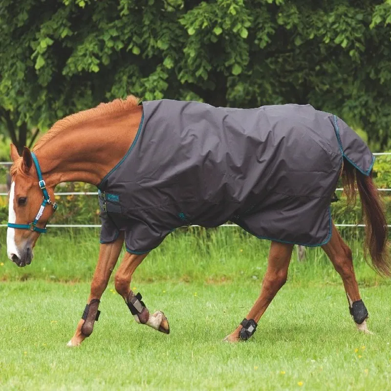 Horseware Amigo Hero 6 Lite Turnout Rug 0g - Excalibur/Gunmetal/Aqua